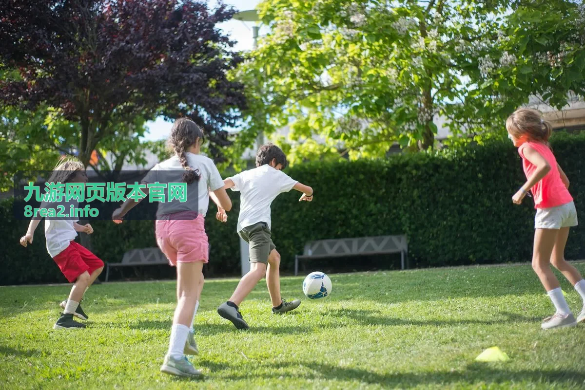 九游网页版本官网维护安排公告示意封面