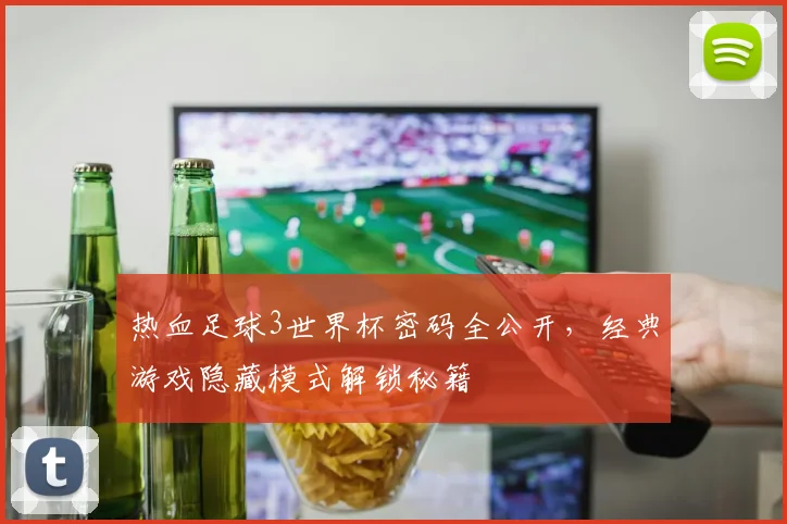 热血足球3世界杯密码全公开，经典游戏隐藏模式解锁秘籍